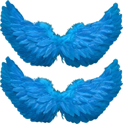 Two pairs of blue feather wings are displayed against a white background.