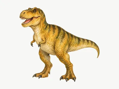 Samolepka na zeď Velký T-rex: Design
