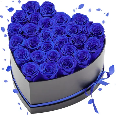 Produktbild von VEVOR 27x Ewige Rosen in Herzform Box, konservierter Blumenstrauß, Blumen Geschenkbox für ihre Frau, Mütter, Liebespartner, zur Hochzeit, zum Muttertag, Valentinstag, Weihnachten, Königsblau