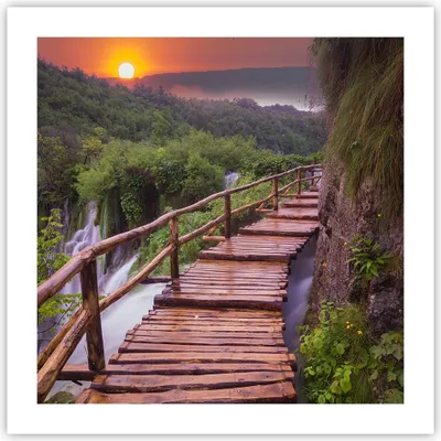 Produktbild von Poster - Poster ohne Rahmen - Park Natur Wasser - 50x50 cm - Wand Bild - Wanddeko - Wandbilder - Kunstposter - Wandposter - Bilder - Kunstdruck - Wanddekoration - Wandbild - P2XAC50x50-3962