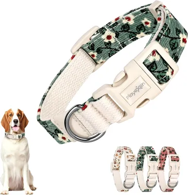 Image de Collier réglable, de 35 à 50 cm, large de 2,5 cm, pour chats et chiens