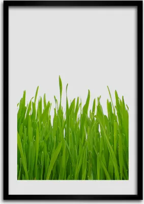 Produktbild von Bild - Bilderrahmen - Foto - 70 cm x 100 cm - MDF - Rahmen - Wandkunst - Grünes Gras