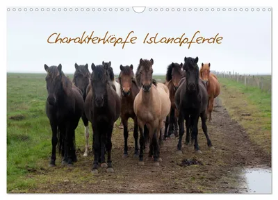 Produktbild von Charakterköpfe Islandpferde (Wandkalender 2027 DIN A3 quer), CALVENDO Monatskalender