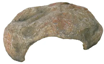 Produktbild von TRIXIE Reptilienhöhle - diverse - 27 × 10 × 22 cm