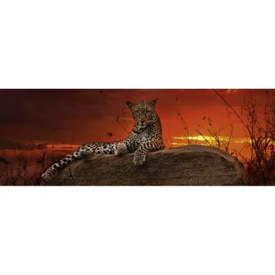 Zdjęcie produktu dla Heye Puzzle Red Dawn, 2000 szt., Animals
