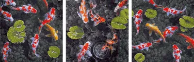 Immagine prodotto di Schipper Malen nach Zahlen Koi - Juwel im Fischteich, Meisterklasse Triptychon, Malvorlage, Wandbild, 609470860
