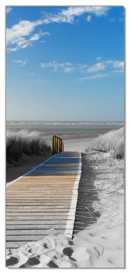 Produktbild von Wallario selbstklebende Türtapete 93 x 205 cm - Auf dem Holzweg zum Strand in schwarz-weiß Optik - Abwischbar, rückstandsfrei zu entfernen