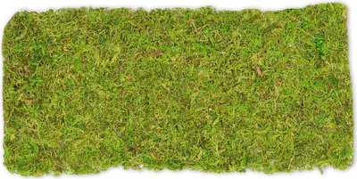 Produktbild von Moosplatte ca. 38x18cm | Moosmatte