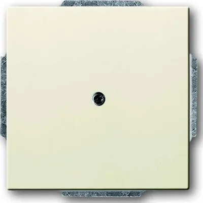 Image de Busch-Jaeger Disque central sav/ews 1742-82 2CKA001710A3143