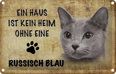 Produktbild von vianmo Blechschild 12x18 cm russisch blau Katze Tier Haustier