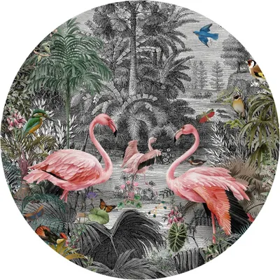 Produktbild von Sticker rund bunte VÖGEL Flamingos tropische Pflanzen Blumen Blätter Dschungel Natur Wanddeko Wandtattoo 100 cm x 100 cm