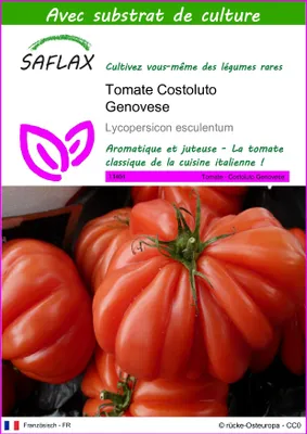 Image de SAFLAX  - Tomate Costoluto Genovese - 10 graines - Avec substrat - Lycopersicon
