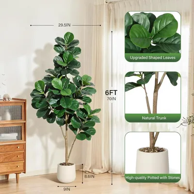 Immagine prodotto di Ficus lyrata artificiale, pianta decorativa alta 180 cm con vaso ornamentale. Foglie realistiche. Grande pianta da interno ideale per soggiorno o ufficio. Colore: verde