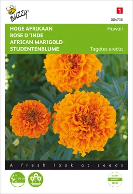 Immagine prodotto di Girasole Hawaii Orange | Semi di girasole di Buzzy Seeds