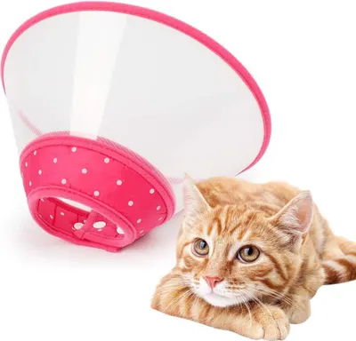 Produktbild von Genesungskragen für Hunde, verstellbarer Halskragen, transparenter, gepolsterter Kragen mit atmungsaktivem, weichem Rand, Kunststoff-Welpenkragen zum Schutz des Halses nach Operationen, geeignet für Katzen und Welpen