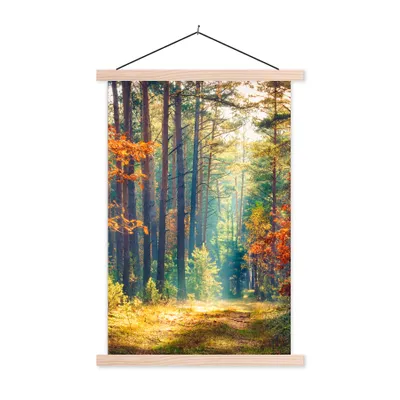 Produktbild von MuchoWow® Textilposter Wald - Sonne - Natur - Herbst 60x90 cm mit holzfarbenen Rahmen - Textil