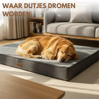 Produktbild von Pebble Orthopädische Hundematte 90 x 70 cm – Hundematratze mit Memory-Schaum, abnehmbarer Bezug, waschbar, Grau (L)