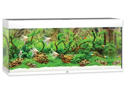 Produktbild von Juwel Rio 240 LED - Aquarium Juwel