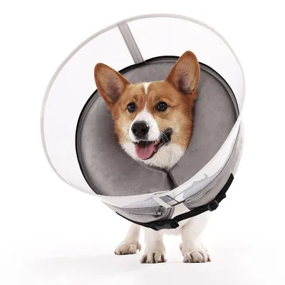 Produktbild von Halskrausen,2 in 1 OP Halsband für Hunde/Katzen – Aufblasbar & atmungsaktiv,Verstellbarer Schutzring gegen Lecken/Kratzen, Für große/small Rassen