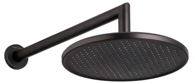 Produktbild von PaulGurkes Kopfbrause Regendusche Matt-Schwarz mit Wandarm 40cm