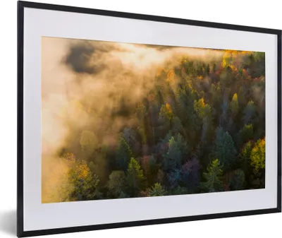 Produktbild von MuchoWow® MuchoWow® Gerahmtes Poster Wald - Nebel - Sonnenuntergang 60x40 cm - Poster mit zchwarzem Bilderrahmen - Schlafzimmer - Plakat in Rahmen - Drucken