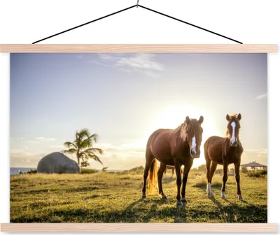 Produktbild von MuchoWow® Textilposter Pferde - Sonne - Gras 120x80 cm mit holzfarbenen Rahmen - Aufhängeset
