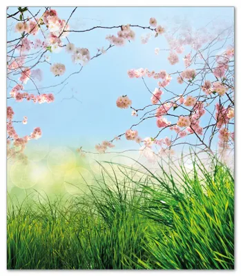 Produktbild von Wallario Herdabdeckplatte aus Glas, Größe 52 x 60 cm 1-teilig, Motiv Kirschblütenzweige und grüne Wiese- Frühling