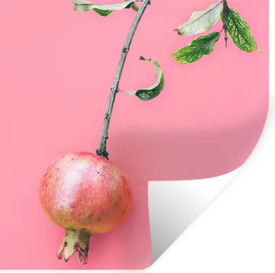 Produktbild von MuchoWow® Wandtattoo Wandsticker Wandaufkleber Pflanzen - Sommer - Rosa 80x80 cm Selbstklebend und Repositionierbar - Wierderverwendbar - Selbstklebend