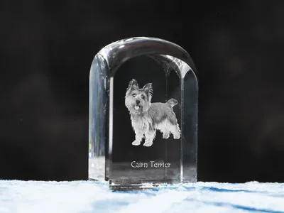 Image de Cairn terrier - cube en cristal avec photo, photo du chien dans le cristal, bouton cubique sur papier de la marque Art-Dog