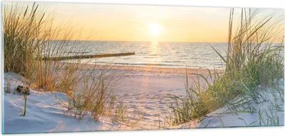 Produktbild von Bilder auf glas - Düne Strand Meer - 100x40cm - Glasbilder - Wandbilder - Kunstdruck - zum Aufhängen bereit - Wanddekoration aus Glas - Glas Bilder - Wandbild auf Glas - Einteilig - GAB100x40-3989