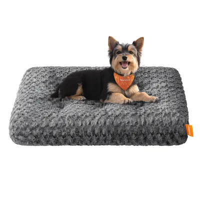 Produktbild von Feandrea Hundebett, für kleine Hunde, flauschige Hundematte, weiche Polsterung, waschbar