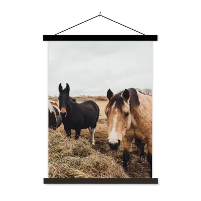 Produktbild von MuchoWow® Textilposter Tiere - Pferd 90x120 cm mit schwarzem Rahmen - Dekoration