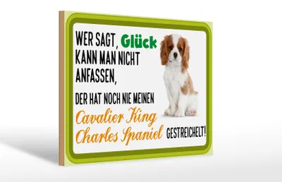 Produktbild von Holzschild Spruch 30x20cm Cavalier King Charles Spaniel