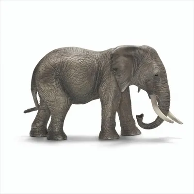 Produktbild von Schleich Afrikanische Elefantenkuh Wild Life, Grau, Beide Geschlechter, 17 cm, 8,5 cm, 9,5 cm, 1 Stück
