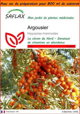 Image de SAFLAX Garden in the bag - Argousier - 40 graines - Hippophae