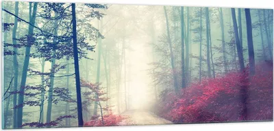 Produktbild von Bilder auf glas - Wald Baum Natur - 100x40cm - Glasbilder - Wandbilder - Kunstdruck - zum Aufhängen bereit - Wanddekoration aus Glas - Glas Bilder - Wandbild auf Glas - Einteilig - GAB100x40-3667