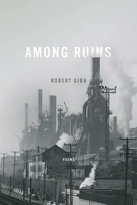 Produktbild von Among Ruins