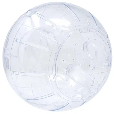 Productafbeelding van ICA GD10025 Trainingsbal voor knaagdieren, 25 cm