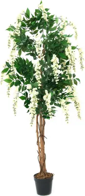 Immagine prodotto di EUROPALMS albero di maggiociondolo, pianta artificiale, bianco, 180cm (82507106)