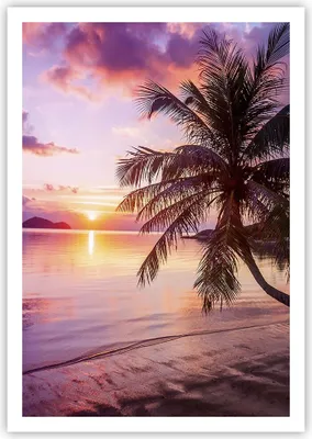 Produktbild von Poster - Poster ohne Rahmen - Strand Meer Palme - 70x100 cm - Wand Bild - Wanddeko - Wandbilder - Kunstposter - Wandposter - Bilder - Kunstdruck - Wanddekoration - Wandbild - P2XPA70x100-3912