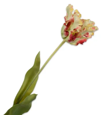 Produktbild von Silk-ka Seidenblume Tulpe Rot Grün (71cm)
