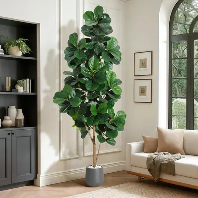 Zdjęcie produktu dla Sztuczny Fikus Liraste (Ficus Lyrata) 210 cm - Biały – Realistyczna Roślina Doniczkowa do Domu, Biura i na Taras, Bez Pielęgnacji, Obraz wygenerowany przez AI