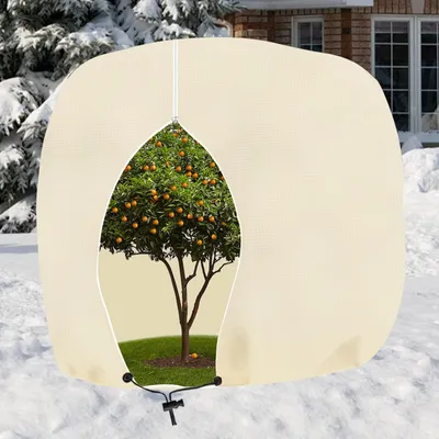 Productafbeelding van Winterbescherming voor Planten, Beige, 250 x 360 cm