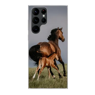 Produktbild von MuchoWow® Handyhülle Schutzhülle Hülle für Samsung Galaxy S22 Ultra Tiere - Pferde - Fohlen Silikon Softcase Handy Hülle - Abbildung
