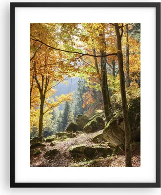Produktbild von Gerahmtes Poster - Schwarzer Rahmen - Herbst berg wald natur - 40x50 cm - Wand Bild - Wanddeko - Wandbilder - Kunstposter - Wandposter - Bilderrahmen - Bilder - Kunstdruck - Wandbild - P2BPA40x50-2713