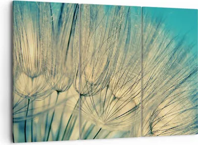Produktbild von Bild auf Leinwand - Leinwandbild - 3 Teile - Löwenzahn Makro Löwenzahn - 105x70cm - Wand Bild - Wanddeko - Wandbilder - Leinwanddruck - Bilder - Wanddekoration - Leinwand bilder - CE105x70-4846