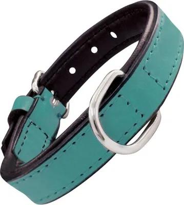 Produktbild von Hundehalsband Gloria Polsterung türkis (35 x 1,5 cm)