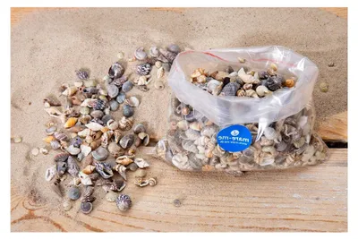 Produktbild von Muschelmix kleine Muscheln, 250 g