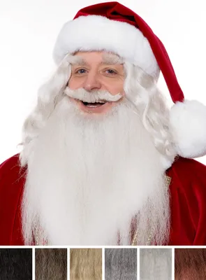 A man dressed as Santa Claus, wearing a red hat and a white beard, is shown from the chest up against a white background. Below the main image are swatches of different hair colors.