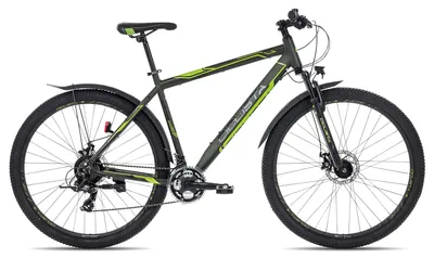 Produktbild von Ciclista Adventure 29 Disc All-Terrain-Bike ab 14 Jahren 29 Zoll Grün 43 cm